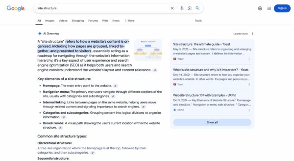 AI overview for search term site structure